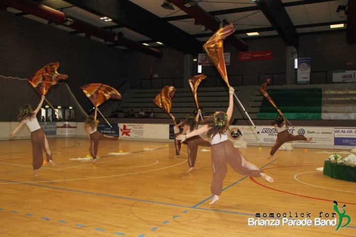 Color Guard