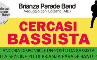 cercasi BASSISTA