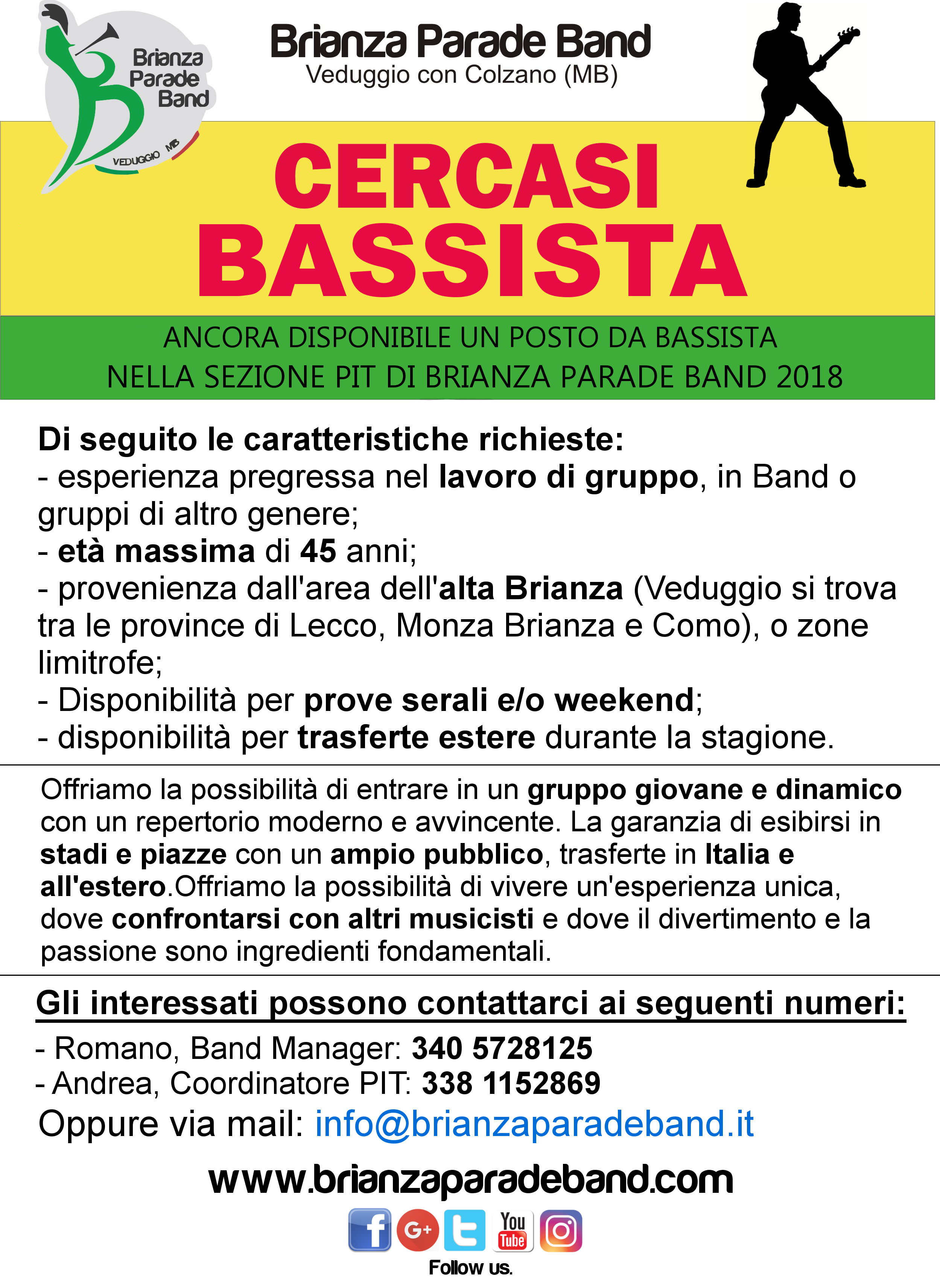 annuncio bassista